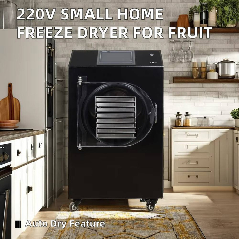 Machine de séchage automatique - Dried Fruit avis et prix