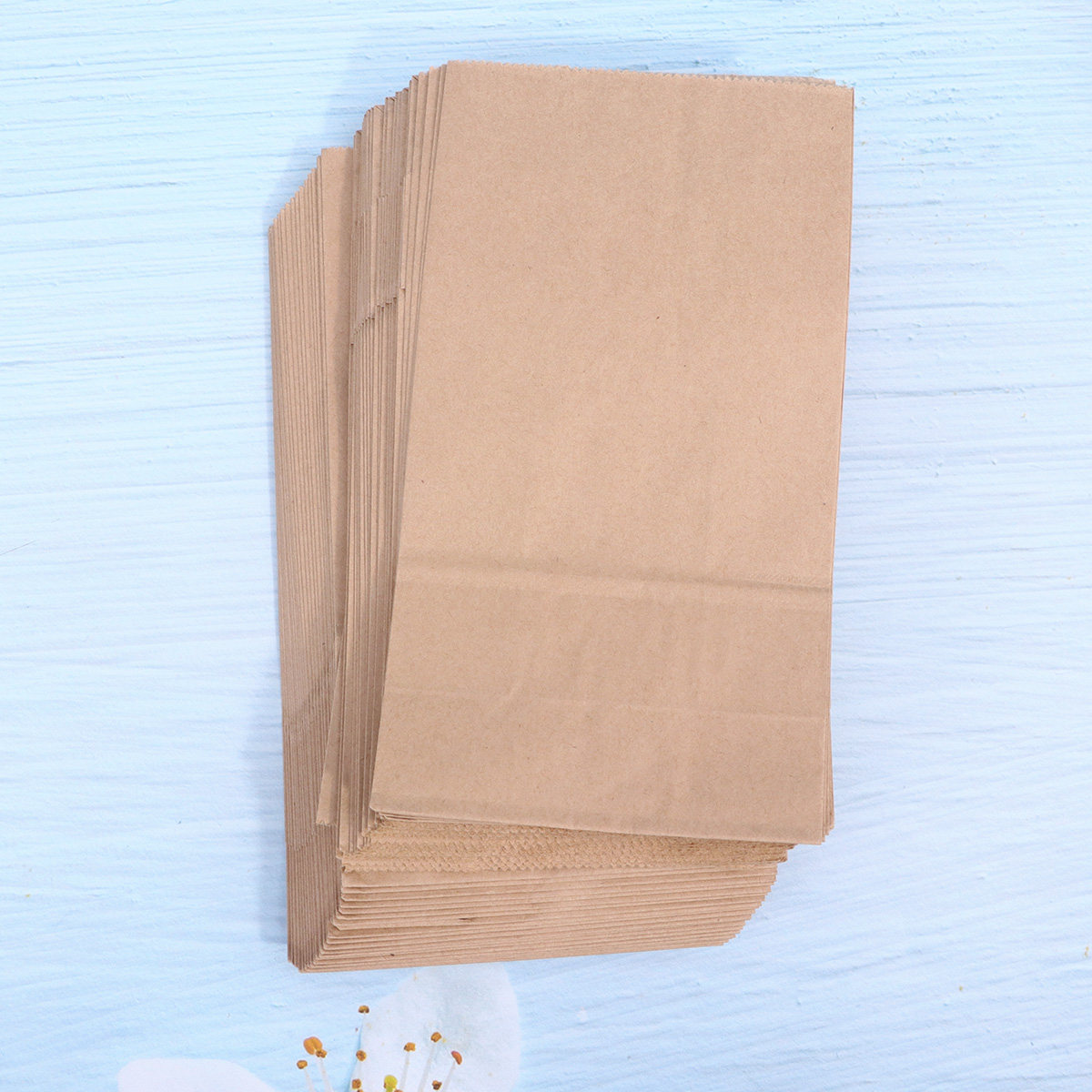 100 sacs d'emballage pour plat - Cookies Pack avis et prix