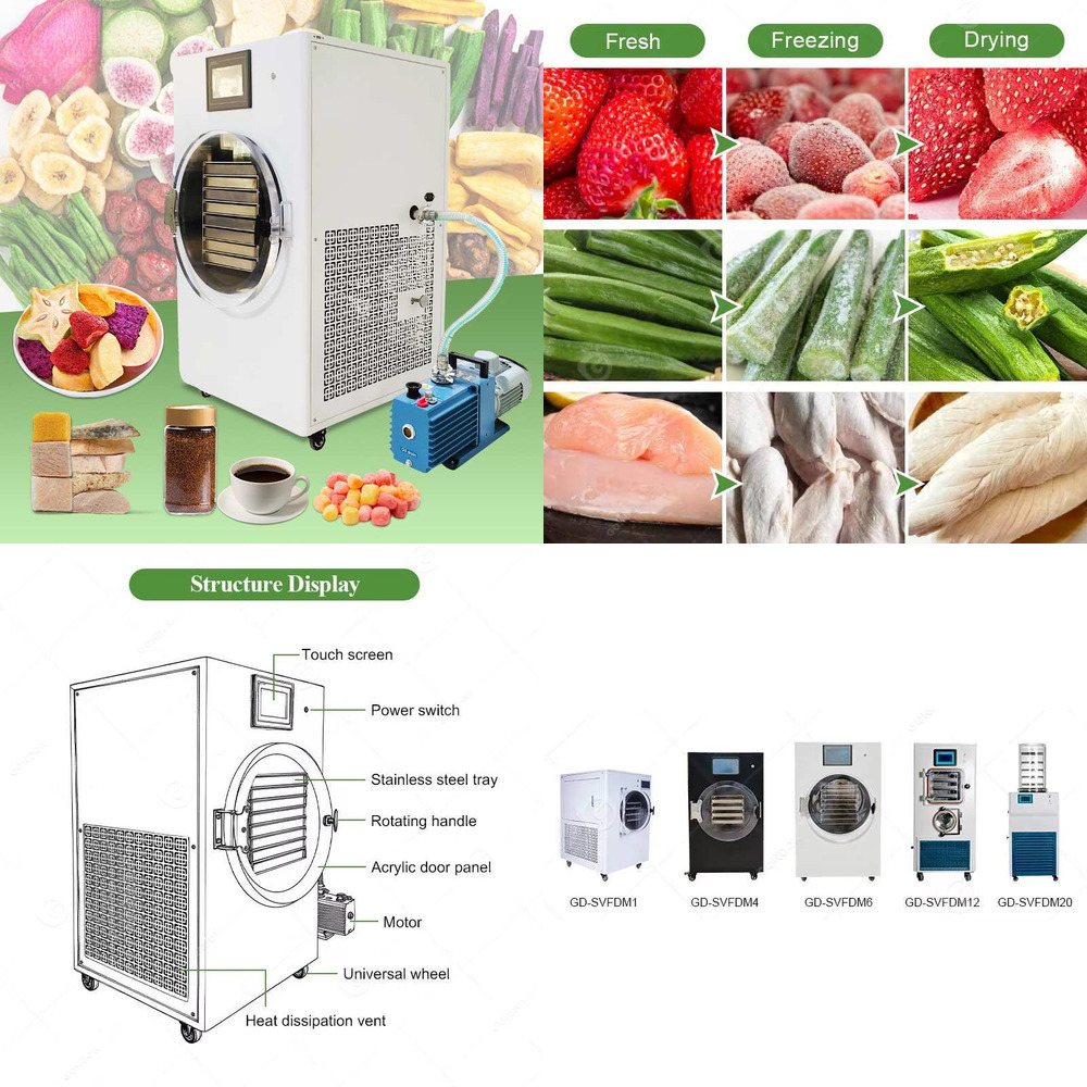 Petit gel Mini Liofilizador sé - Dried Fruit avis et prix